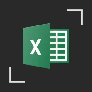Advanced Excel for Professionals (Data Analysis & Automation)